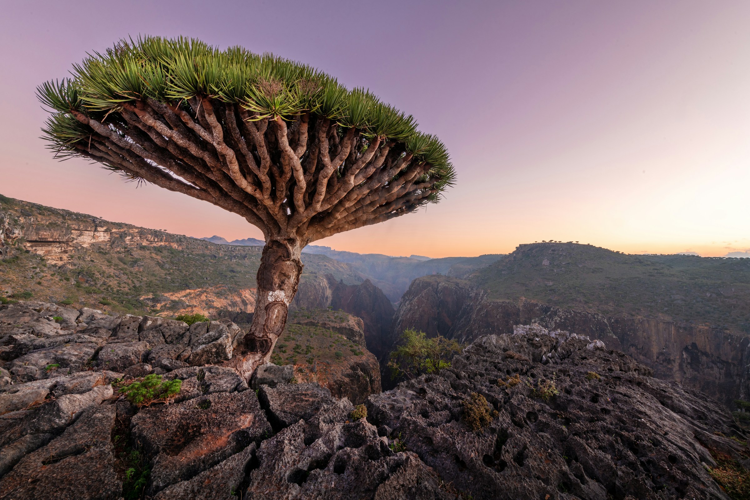 Sokotra Adası
