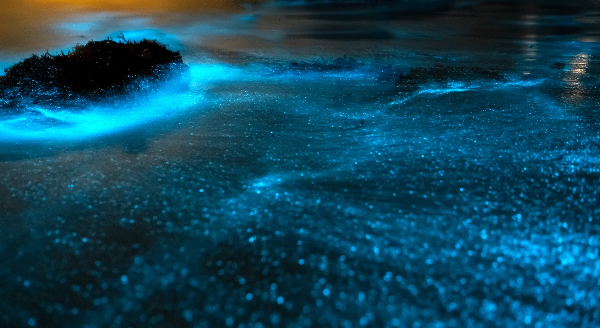 Mosquito Bay
