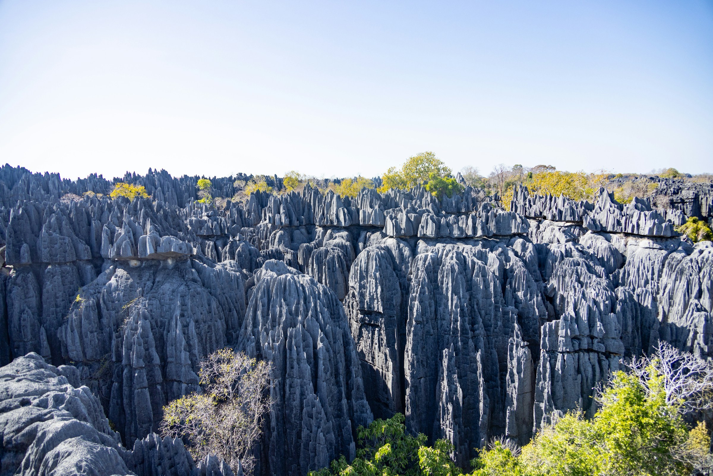 Tsingy de Bemaraha
