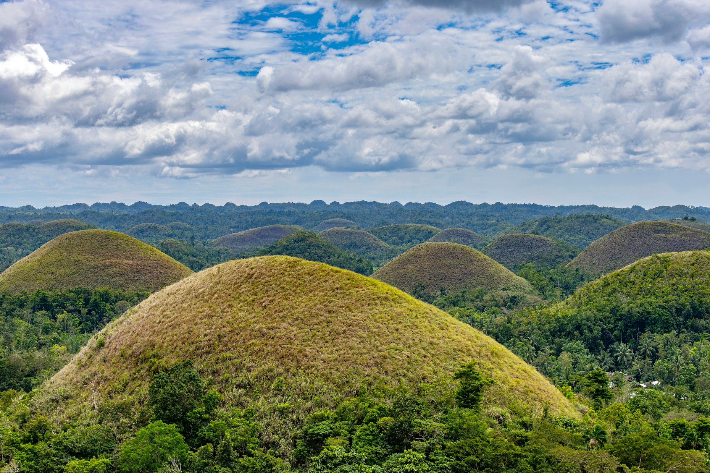 Chocolate Hills